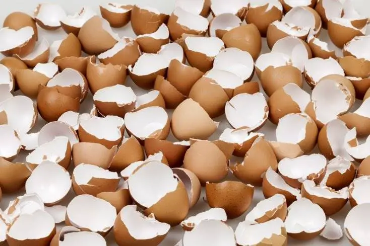 10 cosas que puedes hacer con la cascara del huevo
