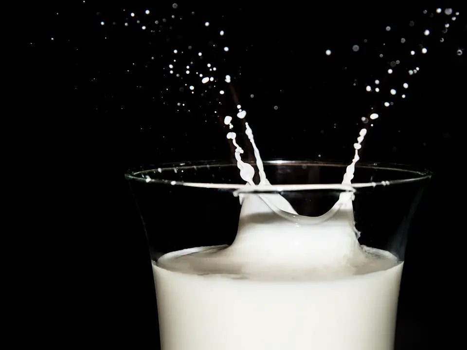 Dieta de la leche pierde peso de verdad y rápidamente