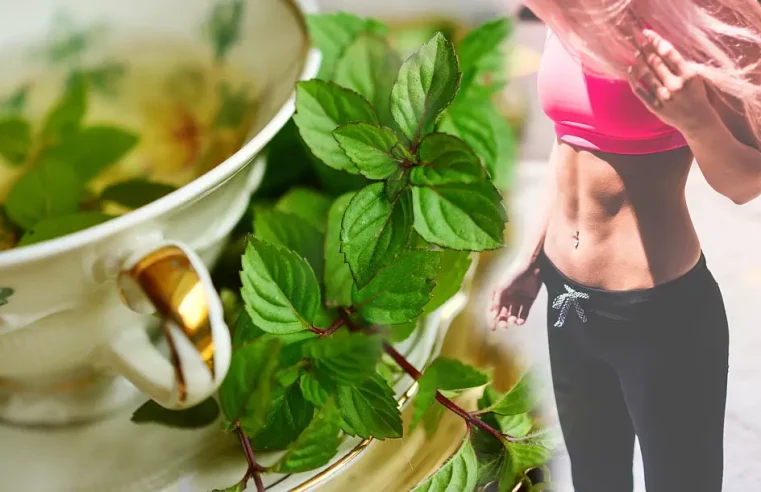 Propiedades del té de menta para adelgazar muy rápido