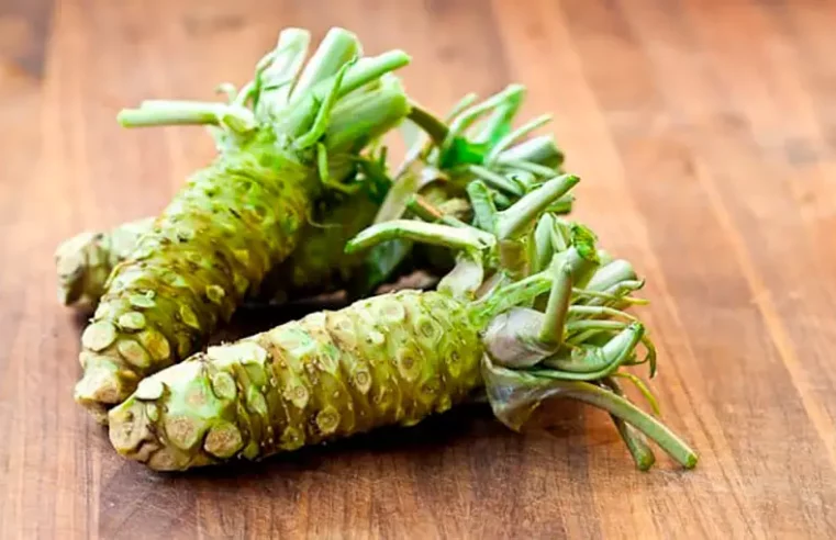 Wasabi, poderoso alimento antibacteriano
