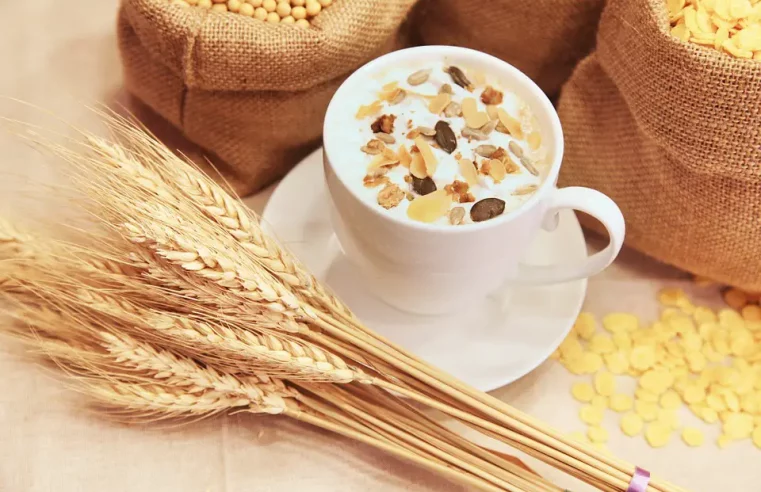 Lista de Alimentos mas ricos en fibras y proteinas