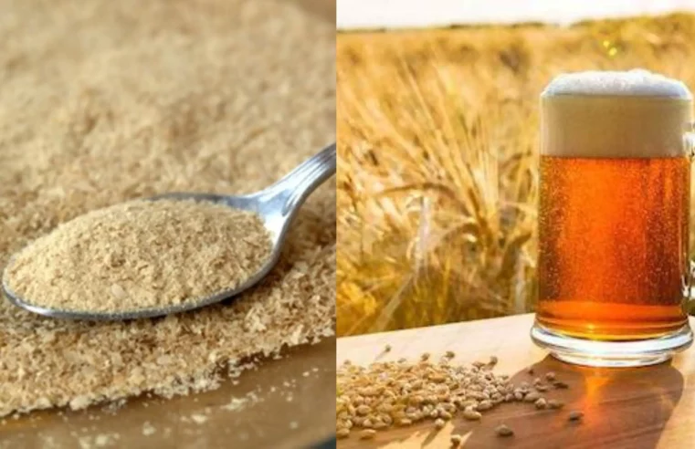 Beneficios de la levadura de cerveza para la salud
