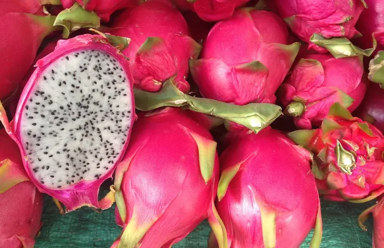 Propiedades y beneficios de la pitaya