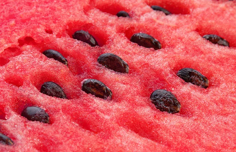 Beneficios de las semillas de sandia para la salud y cómo usarlos