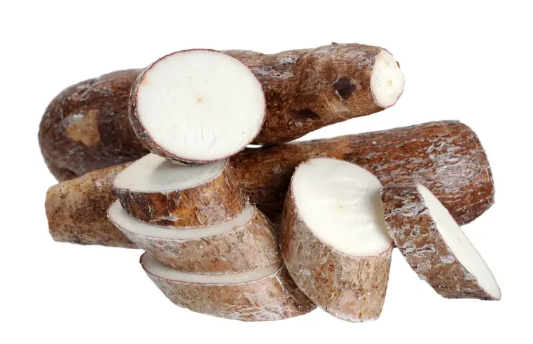 Propiedades, beneficios de la Yuca y cómo cocinarla