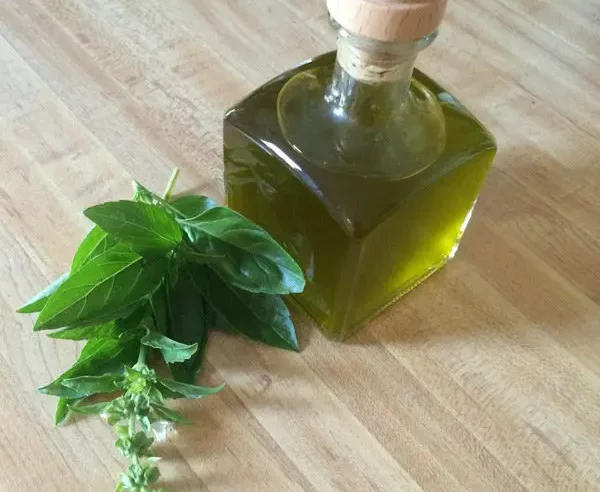 Propiedades y beneficios del aceite esencial de albahaca