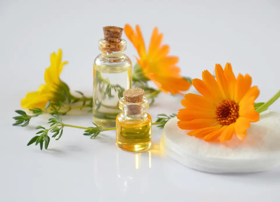 Usos y propiedades del aceite esencial de caléndula