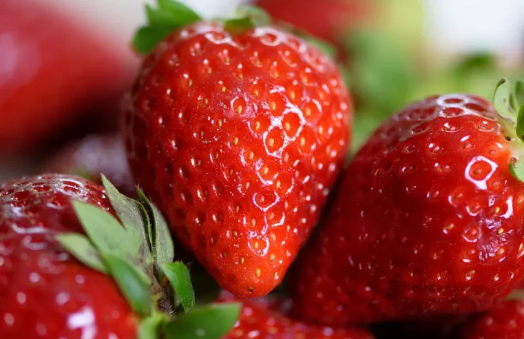 Propiedades y beneficios nutricionales de las Fresas para la salud