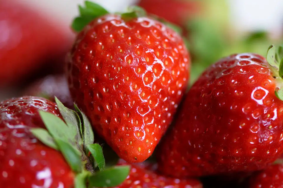 Propiedades y beneficios nutricionales de las Fresas para la salud