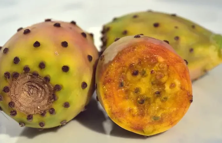 Beneficios y propiedades del nopal y cómo usar?