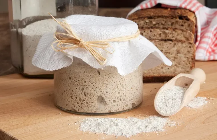 Levadura natural o biológica, y sus diferencias