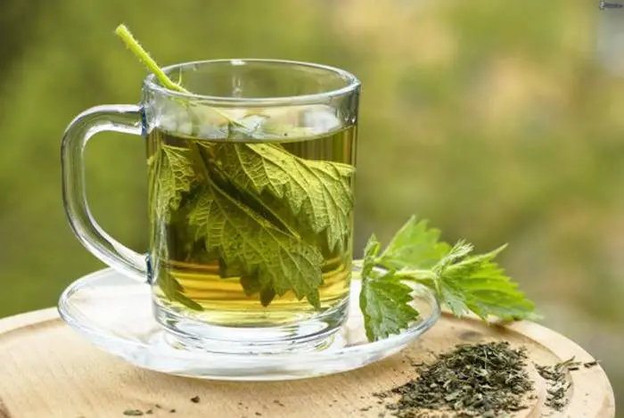 7 beneficios del té de menta para bajar de peso