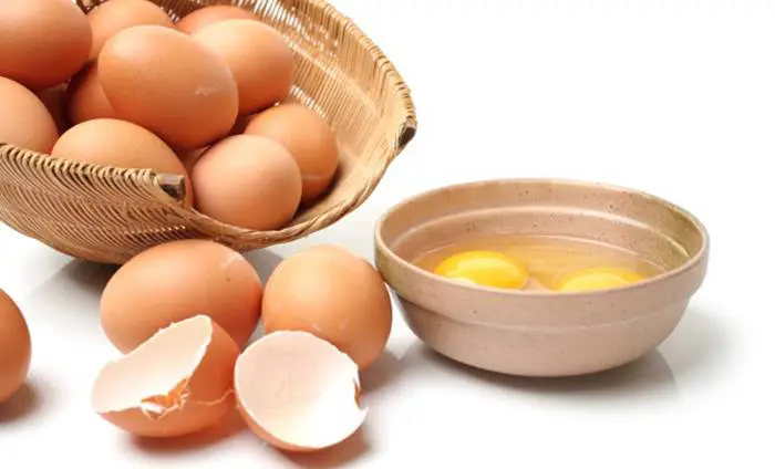 ¿Es malo comer huevos todos los días? Cual es el límite saludable