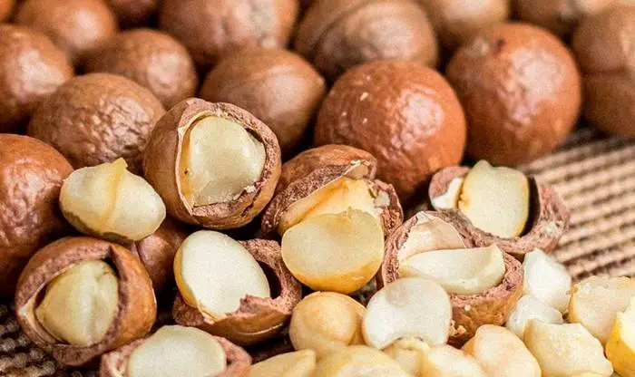 Propiedades y beneficios de la nuez de macadamia para la salud
