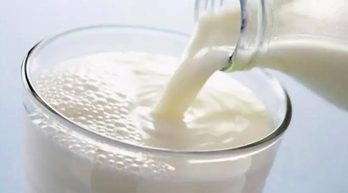 ¿La leche mejora la inmunidad? Conozca los beneficios que van más allá del calcio