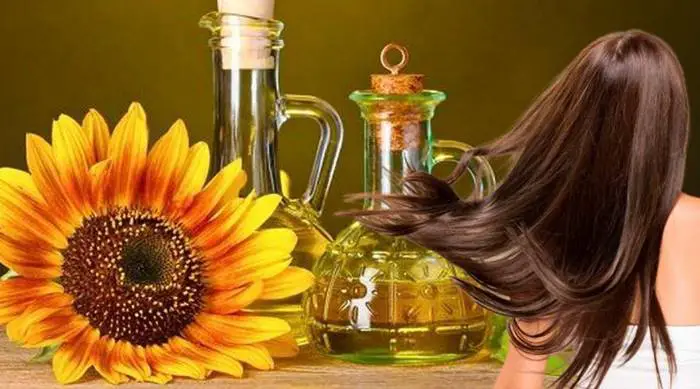Conoce los beneficios del aceite de girasol para el cabello