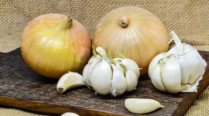 Cebolla y Ajo: Sus propiedades saludables de los productos más utilizados en gastronomía