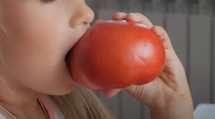 Tomates: descubre los principales beneficios de esta extraordinaria fruta