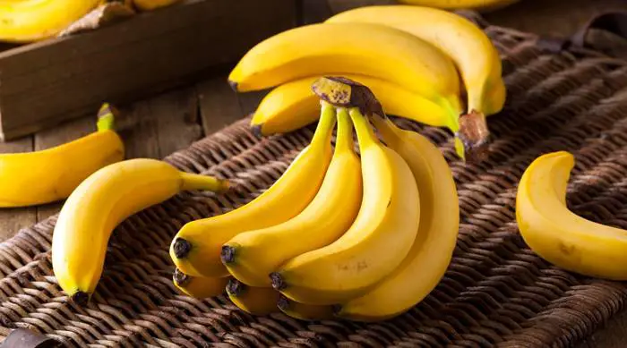 Plátano o banana: conoce los 10 beneficios de esta fruta